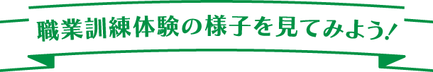 職業訓練体験の様子を見てみよう！